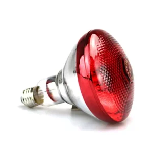 INFRARED BROODING BULB FOR CHICKS