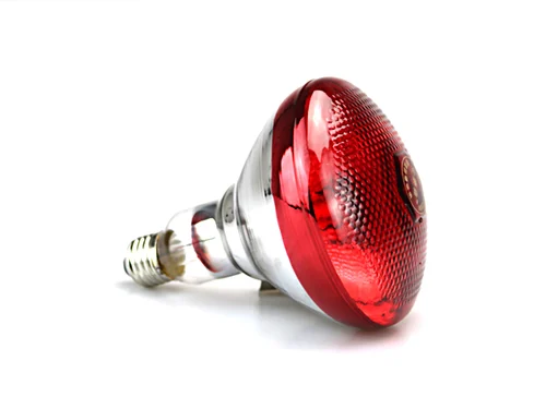INFRARED BROODING BULB FOR CHICKS