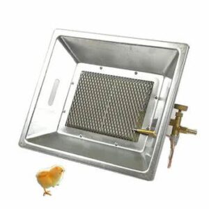 GAS BROODER FOR CHICKS