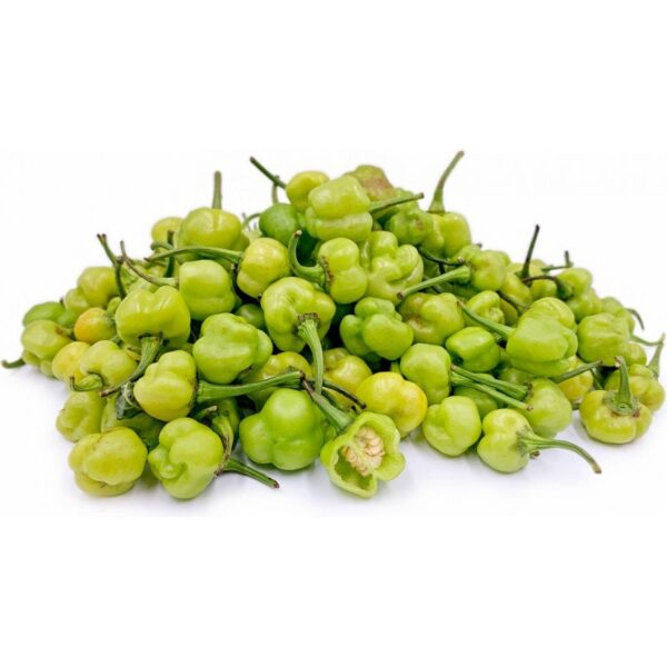 KPAKPOSHITO SEED 5G - Image 2
