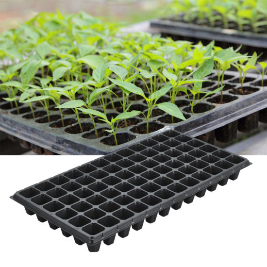 Seed Tray 200 Cells - Image 2