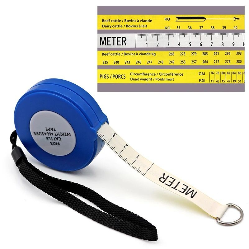 ANIMAL TAPE MEASURE - Image 2