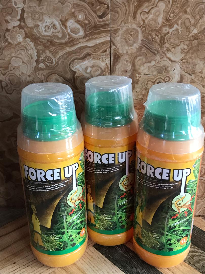 FORCE UP 1LTR - Image 2