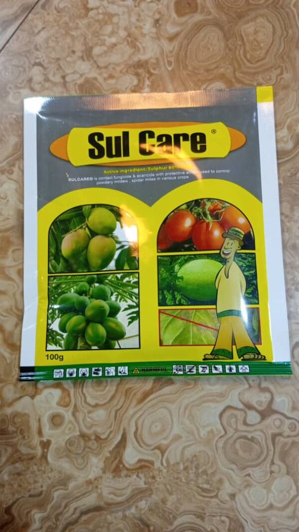SUL CARE (FUNGICIDE) 100G - Image 2