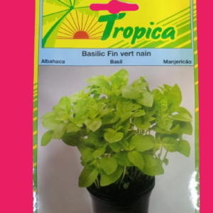 BASIL SEEDS 5G