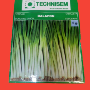 SPRING ONION SEEDS 5G