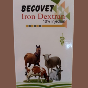 BECOVET IRON DEXTRAN 10% 100ML