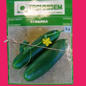 CUCUMBER SEEDS 5G