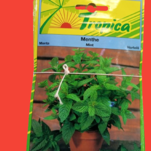 MINT MENTA SEEDS 5G