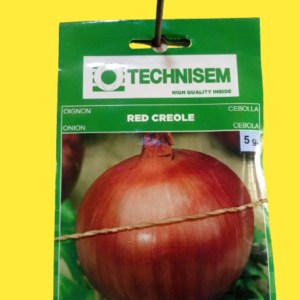 RED ONION SEEDS 5G