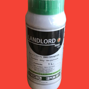 LANDLORD 1LTR