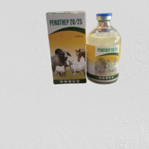 PENSTREP 20/25 100ML