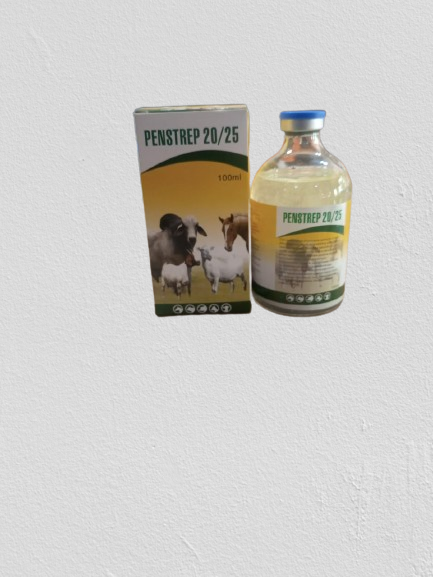 PENSTREP 20/25 100ML