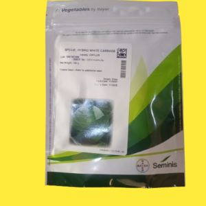 CABBAGE SEED OXYLUS 100G