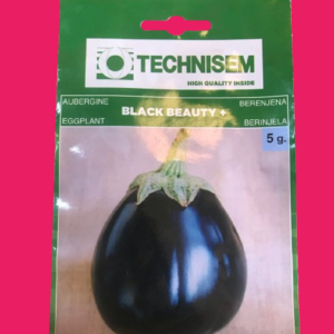 AUBERGINE/ EGGPLANT 5G