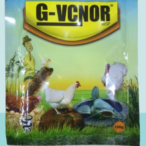 G-VCNOR WSP VITAMINS (100g)