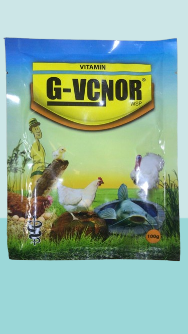 G-VCNOR WSP VITAMINS (100g)