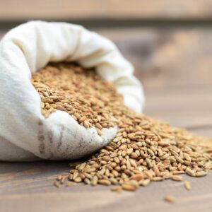 VEGETABLES AND FRUITS SEEDS