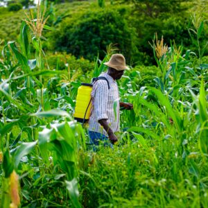 WEEDICIDES
