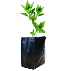 NURSERY BAG SIZE 9*14