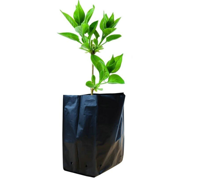 NURSERY BAG SIZE 9*14