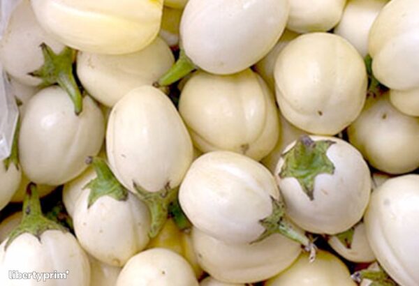 GARDEN EGG SEEDS 5G - Image 2