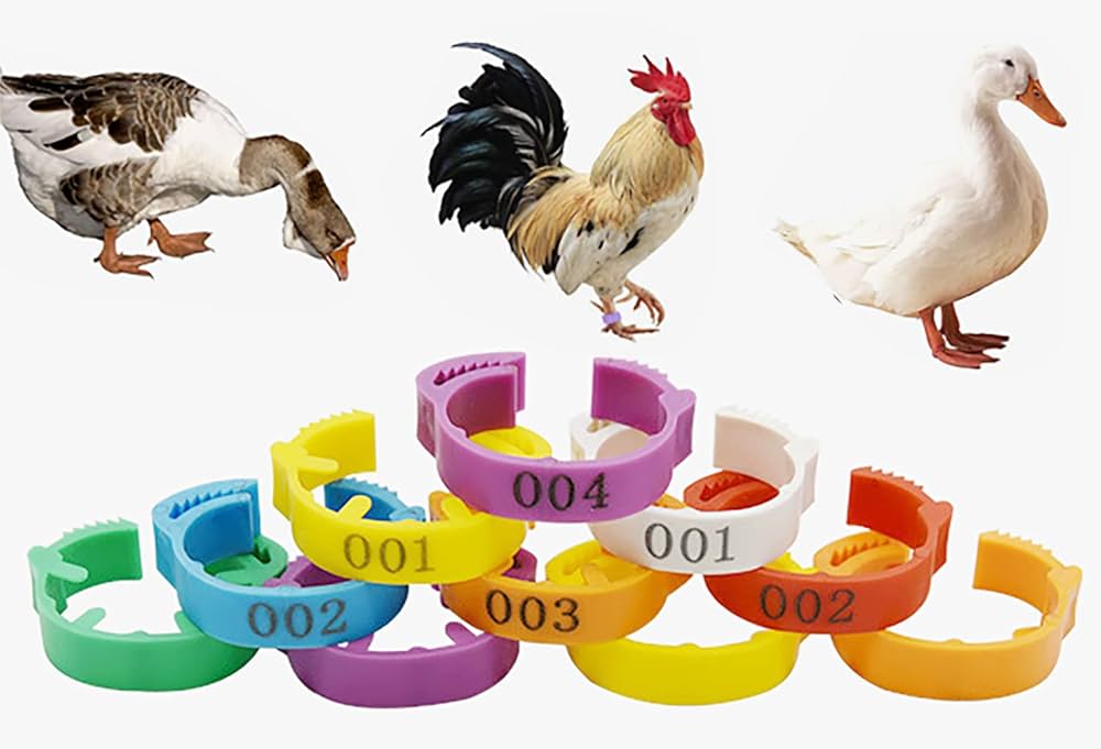 CHICKEN FOOT RING - Image 2
