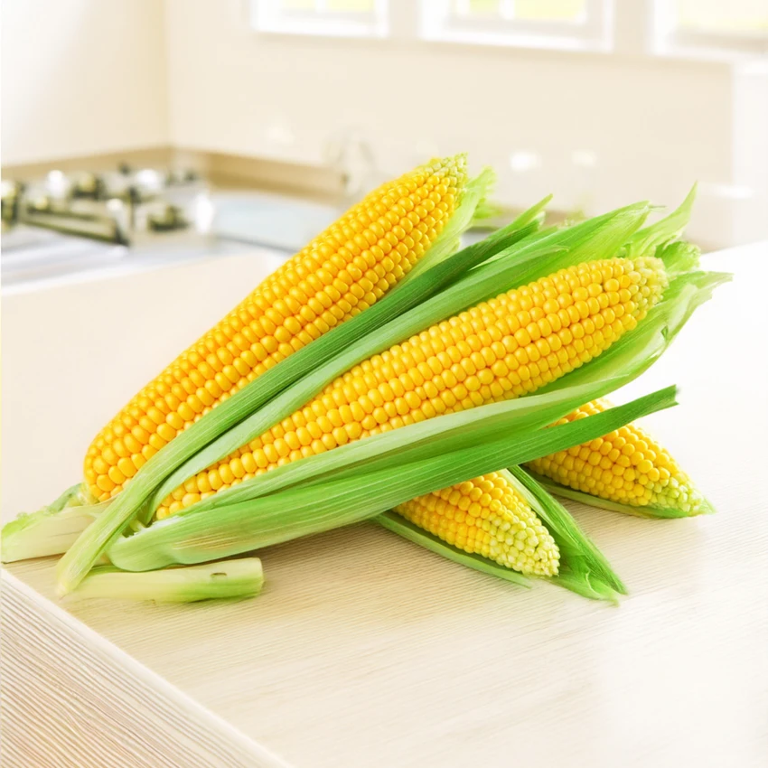 SWEET CORN SEEDS (GOLDEN BANTAM) - Image 4