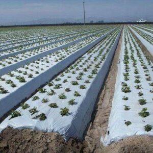 PLASTIC MULCH 1.2-500 METERS