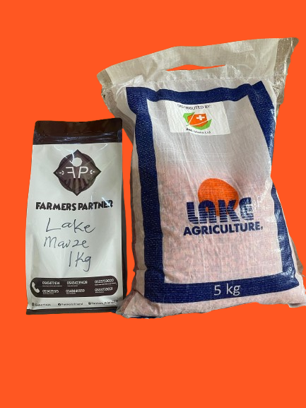 LAKE MAIZE 1KG