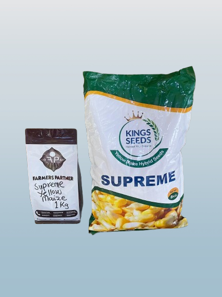 SUPREME YELLOW MAIZE HYBRID SEEDS 1KG