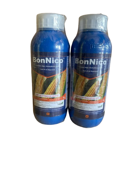 BON NICO
