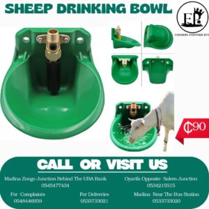 SHEEP DRINKING BOWL